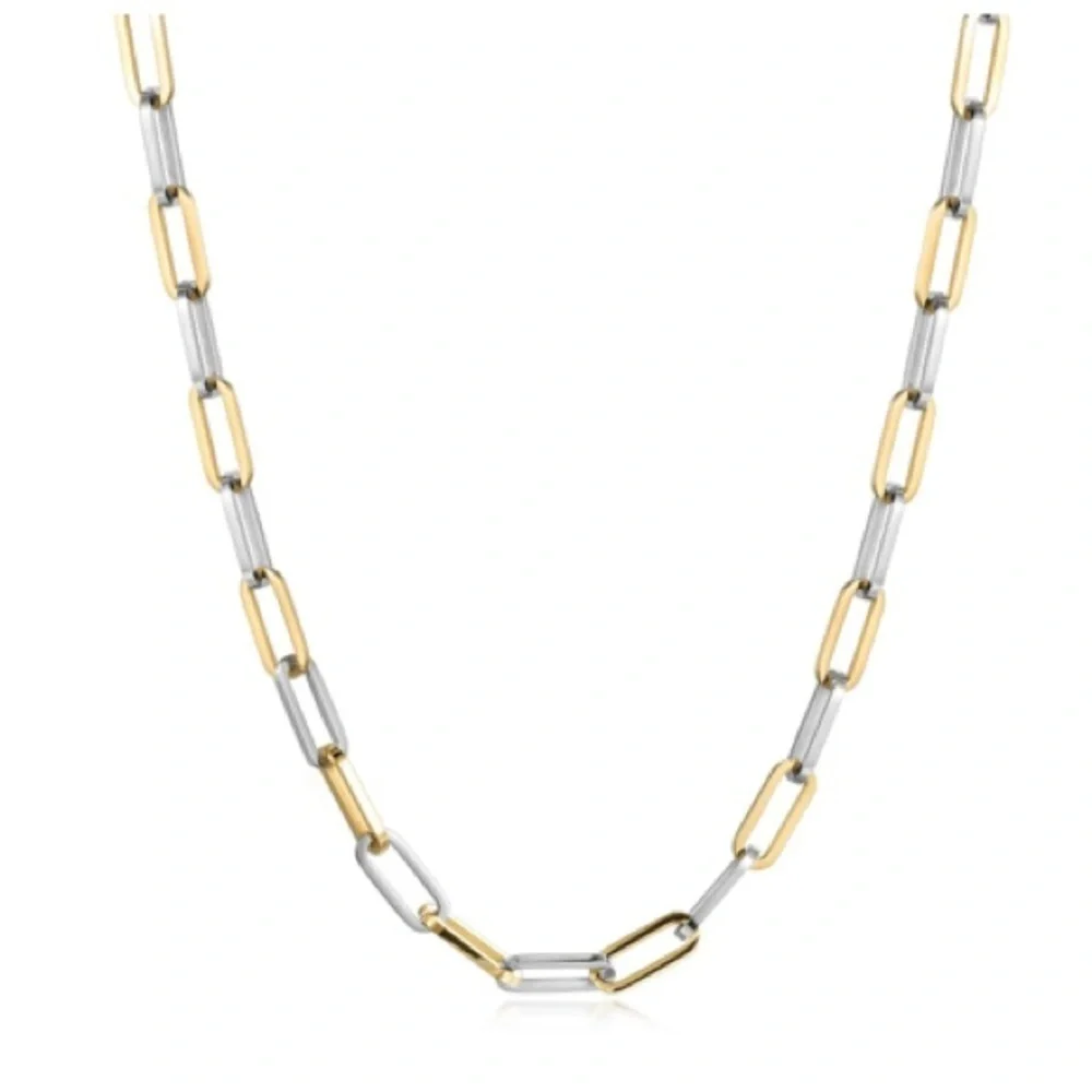24” Gold and Stainless Steel Chain